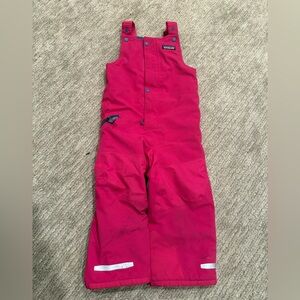 Patagonia 3T Toddler Ski Snowboard Snow Pile Bibs